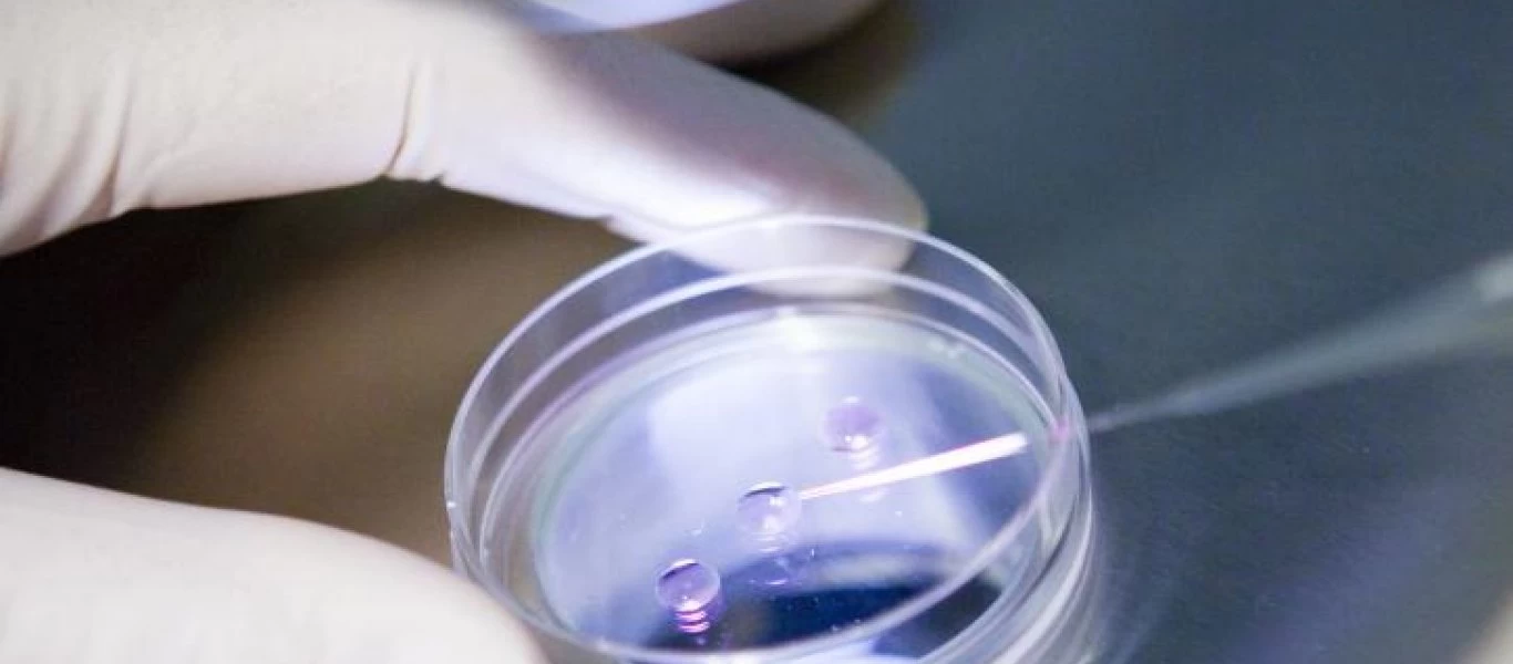 Νέα μοριακή μεθοδολογία ανίχνευσης και ανάλυσης μεταλλάξεων σε λύματα και τουριστικές δομές ανέπτυξε το ΕΚΠΑ